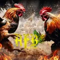 AFB COCKFIGHT